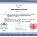Powiększ obraz: certificate 13