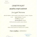 Powiększ obraz: certificate 3