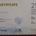 Powiększ obraz: certificate 4
