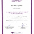 Powiększ obraz: certificate 6