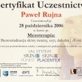Powiększ obraz: certificate 2