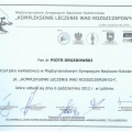 Powiększ obraz: certificate 33