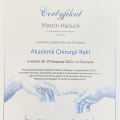 Powiększ obraz: certificate 8
