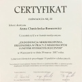 Powiększ obraz: certificate 3