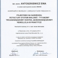 Powiększ obraz: certificate 2