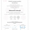 Powiększ obraz: certificate 4