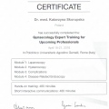 Powiększ obraz: certificate 1