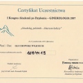 Powiększ obraz: certificate 54