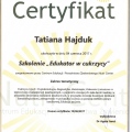 Powiększ obraz: certificate 1