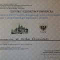 Powiększ obraz: certificate 19
