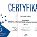 Powiększ obraz: certificate 11