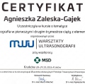 Powiększ obraz: certificate 14