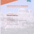 Powiększ obraz: certificate 23