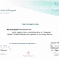 Powiększ obraz: certificate 16