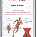 Powiększ obraz: certificate 1