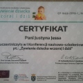 Powiększ obraz: certificate 16