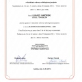 Powiększ obraz: certificate 5