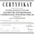 Powiększ obraz: certificate 12