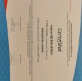 Powiększ obraz: certificate 11