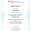 Powiększ obraz: certificate 9