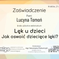 Powiększ obraz: certificate 4