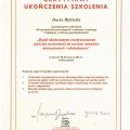Powiększ obraz: certificate 8
