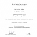 Powiększ obraz: certificate 6