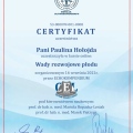 Powiększ obraz: certificate 1