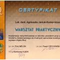 Powiększ obraz: certificate 3