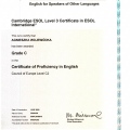 Powiększ obraz: certificate 7