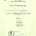 Powiększ obraz: certificate 12