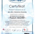 Powiększ obraz: certificate 3