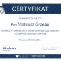 Powiększ obraz: certificate 21