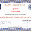 Powiększ obraz: certificate 7