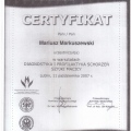Powiększ obraz: certificate 48