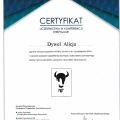Powiększ obraz: certificate 1