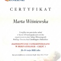 Powiększ obraz: certificate 29