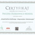 Powiększ obraz: certificate 6