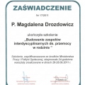 Powiększ obraz: certificate 26