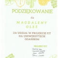 Powiększ obraz: certificate 38