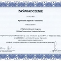 Powiększ obraz: certificate 11