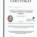 Powiększ obraz: certificate 3