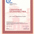 Powiększ obraz: certificate 12
