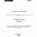 Powiększ obraz: certificate 9