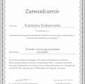 Powiększ obraz: certificate 22