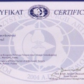 Powiększ obraz: certificate 9