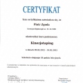 Powiększ obraz: certificate 4