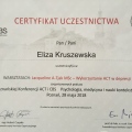 Powiększ obraz: certificate 13