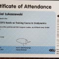 Powiększ obraz: certificate 13