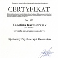 Powiększ obraz: certificate 1